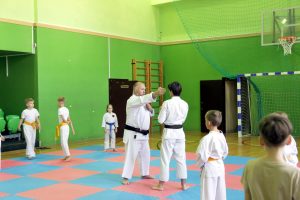 Открытое занятие по карате организуют в ЦКС «Филимонковское». Фото: официальная страница ЦКС «Филимонковское» в социальных сетях
