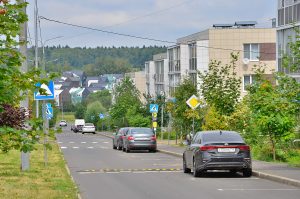 Москвичам рассказали об истории Новой Москвы. Фото: Анна Быкова, «Вечерняя Москва»