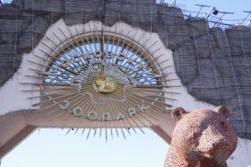 От Москвы до Краснодарского края: жители каких регионов чаще всего смотрят онлайн-трансляции из столичного зоопарка. Фото: Ксения Догонашева, «Вечерняя Москва»