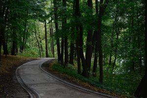 Качество воздуха проверили в Филимонковском районе. Фото: Анна Быкова, «Вечерняя Москва»